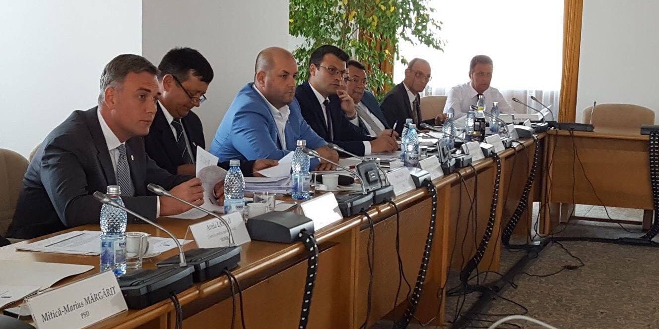 Deputat USR, Bogdan Rodeanu: „Susținem consolidarea competențelor Jandarmeriei Române în ceea ce privește controlul materialului lemnos și constatarea faptelor de natură penală și contravențională la regimul silvic”